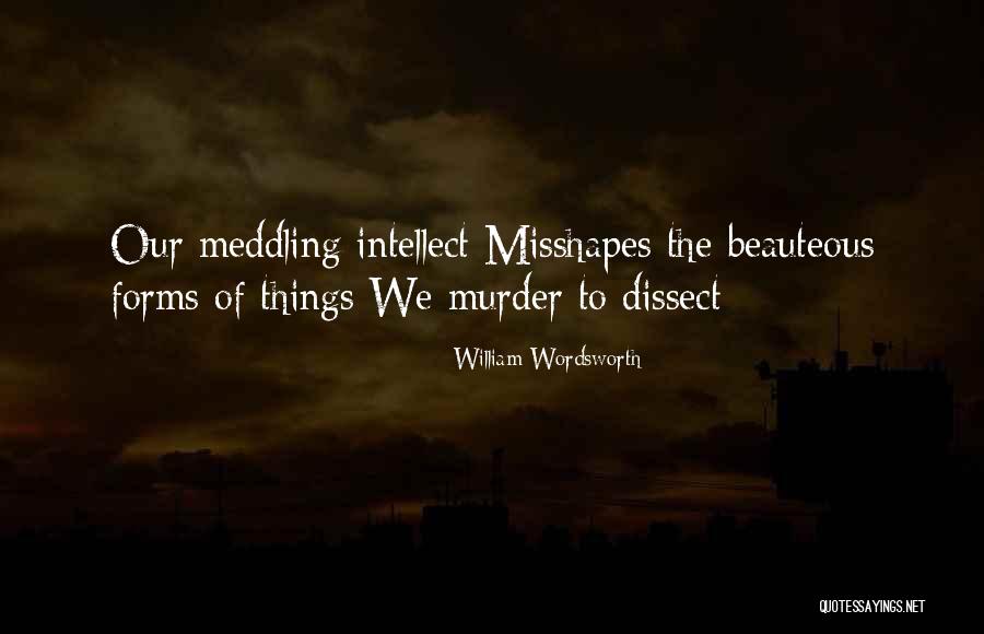 Divinissima Quotes By William Wordsworth Divinissima Quotes By William Wordsworth