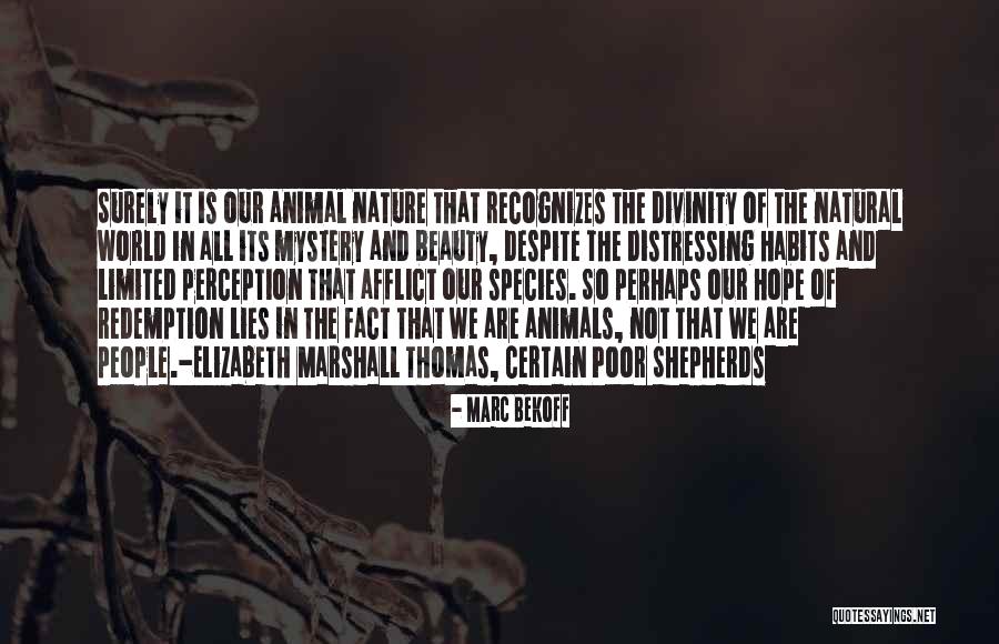 Divinity Of Nature Quotes By Marc Bekoff Divinity Of Nature Quotes By Marc Bekoff