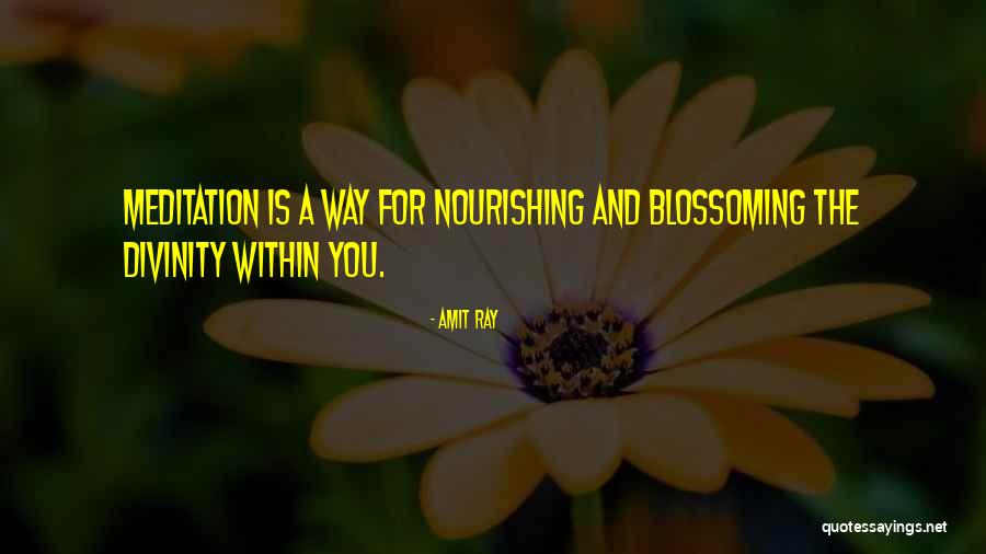 Divinity Quotes Quotes By Amit Ray Divinity Quotes Quotes By Amit Ray