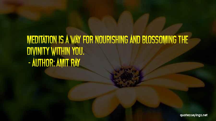 Divinity Within Quotes By Amit Ray