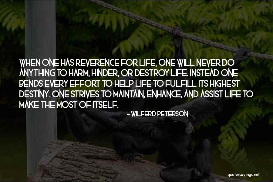 Divisionism Technique Quotes By Wilferd Peterson