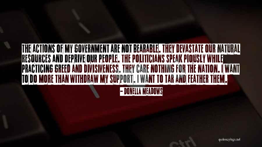 Divisiveness Quotes By Donella Meadows