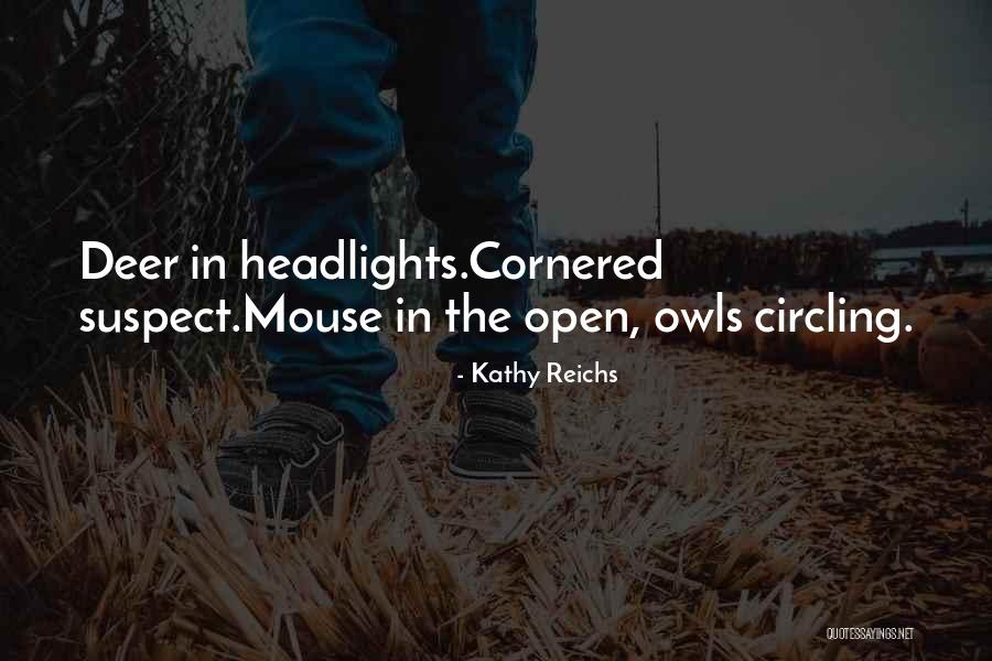 Divisoria Products Quotes By Kathy Reichs Divisoria Products Quotes By Kathy Reichs