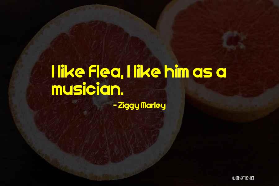 Divlji Vepar Quotes By Ziggy Marley