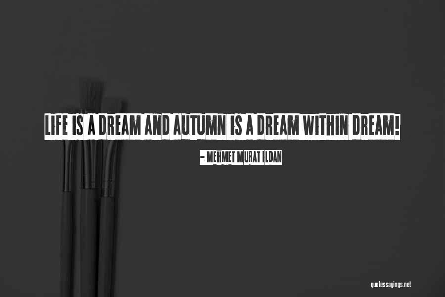 Divnoje Quotes By Mehmet Murat Ildan Divnoje Quotes By Mehmet Murat Ildan