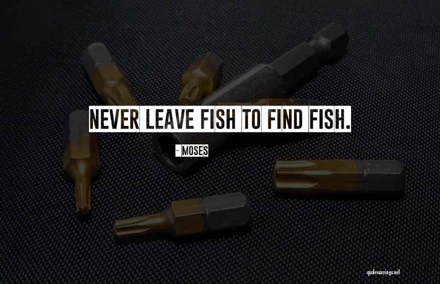 Divora Hair Quotes By Moses Divora Hair Quotes By Moses