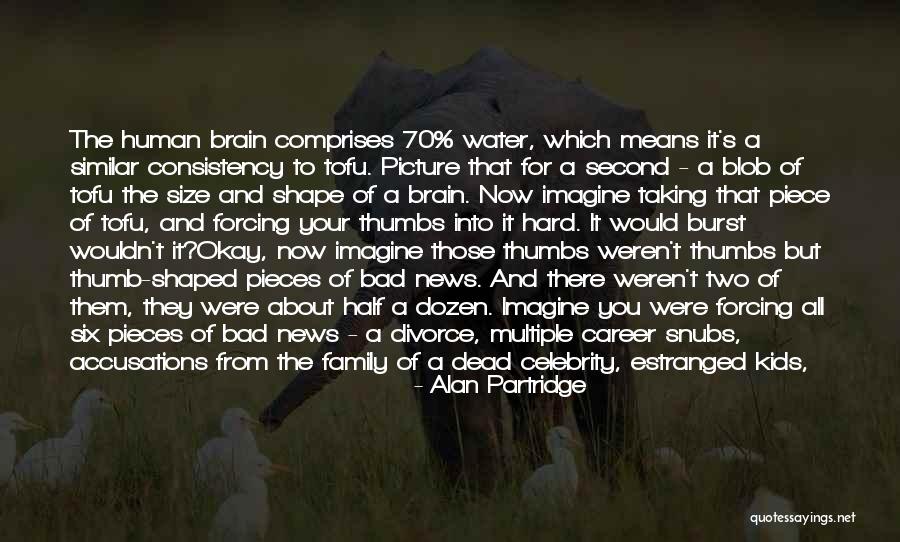 Divorce And Kids Quotes By Alan Partridge Divorce And Kids Quotes By Alan Partridge