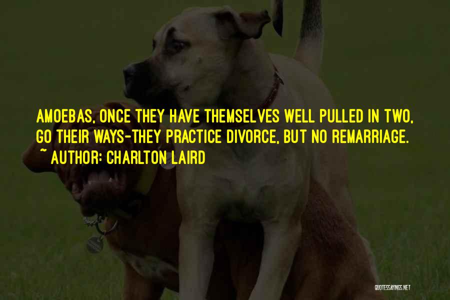 Divorce And Remarriage Quotes By Charlton Laird