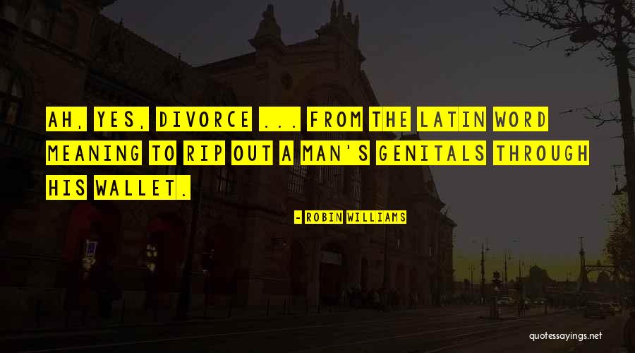 Divorce Funny Quotes By Robin Williams Divorce Funny Quotes By Robin Williams