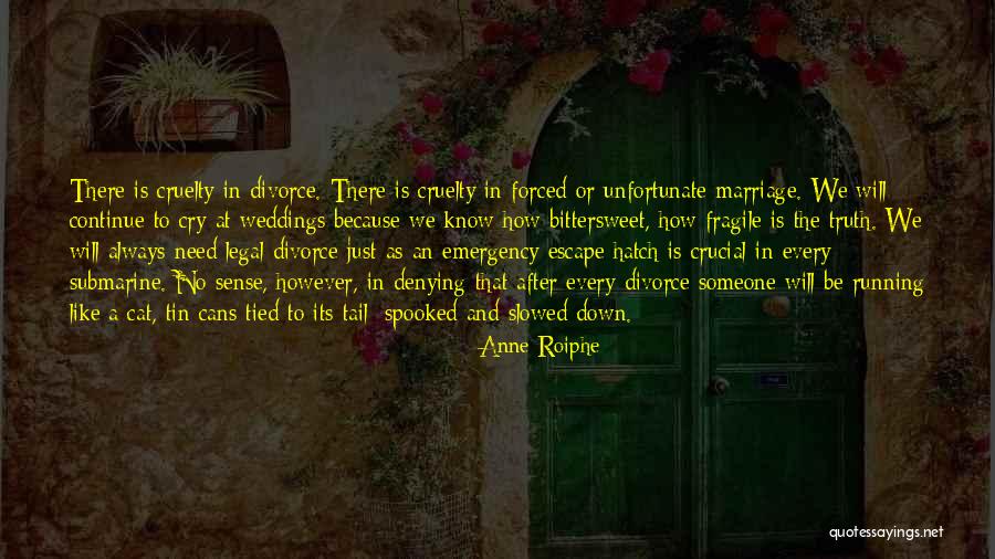 Divorce Quotes By Anne Roiphe