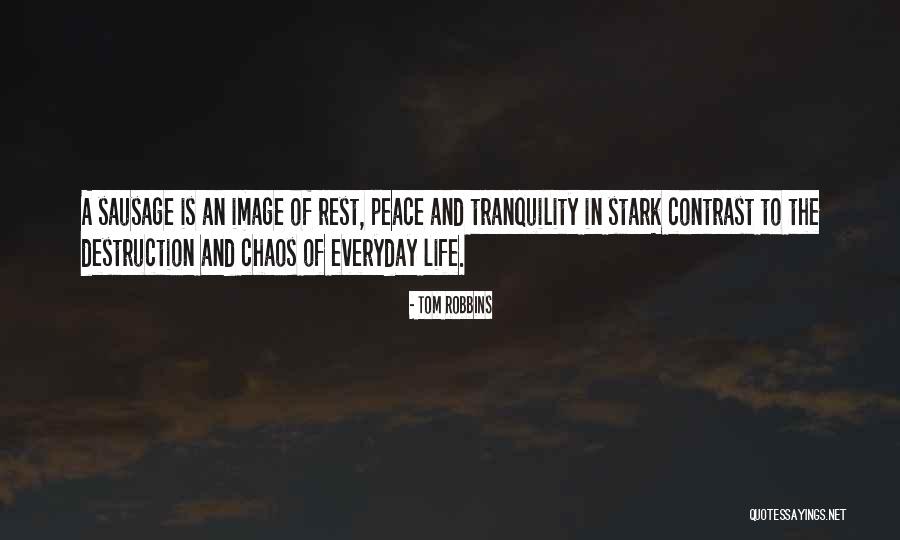 Divorciadas Quotes By Tom Robbins Divorciadas Quotes By Tom Robbins