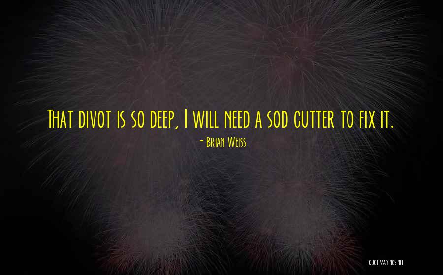 Divot Quotes By Brian Weiss Divot Quotes By Brian Weiss