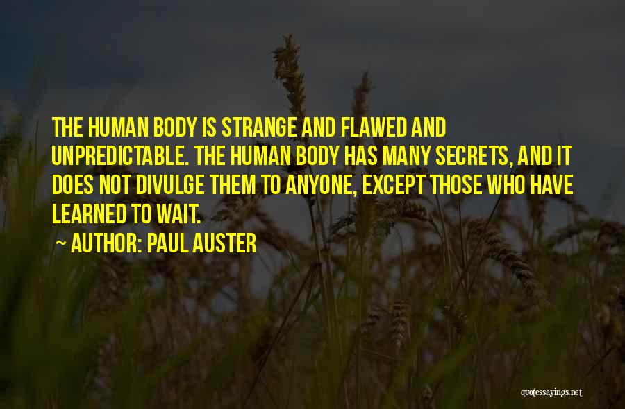 Divulge Quotes By Paul Auster