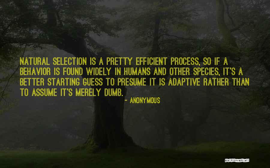 Divvied Def Quotes By Anonymous Divvied Def Quotes By Anonymous