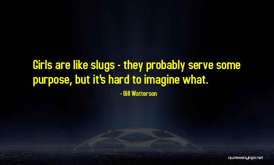 Diy Cardboard Quotes By Bill Watterson Diy Cardboard Quotes By Bill Watterson