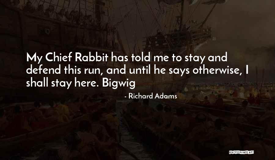 Diy Cardboard Quotes By Richard Adams Diy Cardboard Quotes By Richard Adams