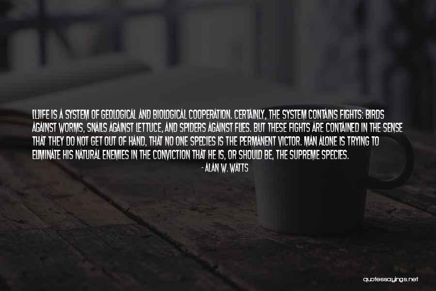 Diye Jalte Quotes By Alan W. Watts Diye Jalte Quotes By Alan W. Watts