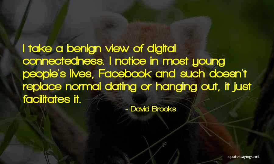 Diyordie Quotes By David Brooks Diyordie Quotes By David Brooks