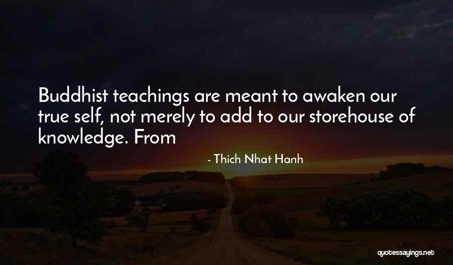 Dizaster Quotes By Thich Nhat Hanh Dizaster Quotes By Thich Nhat Hanh