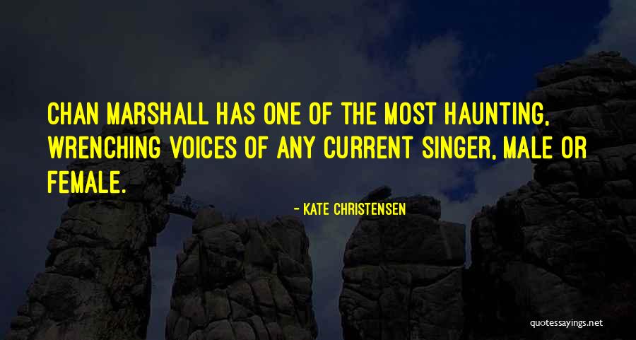Dizolvare Quotes By Kate Christensen Dizolvare Quotes By Kate Christensen
