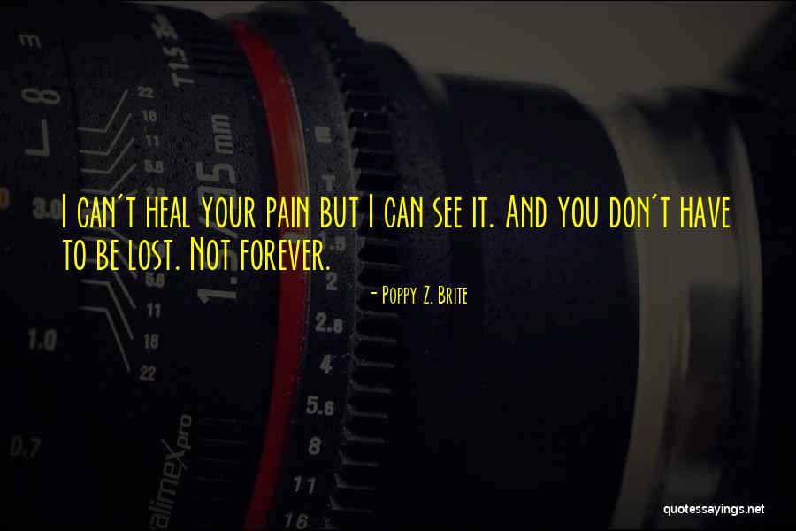 Dizolvare Quotes By Poppy Z. Brite Dizolvare Quotes By Poppy Z. Brite