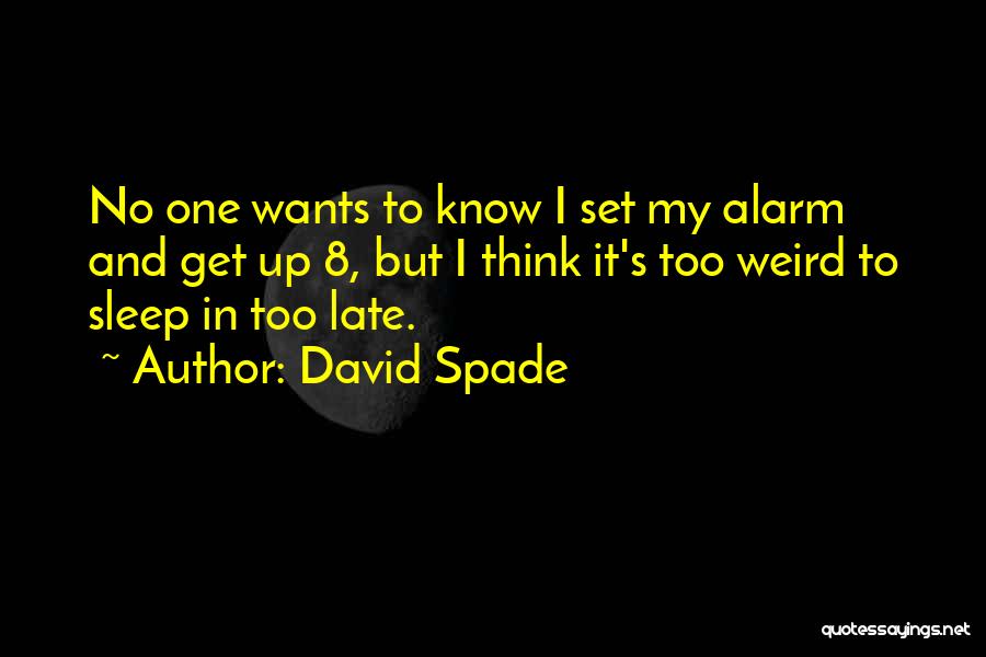 Dizzee Rascal Bassline Quotes By David Spade