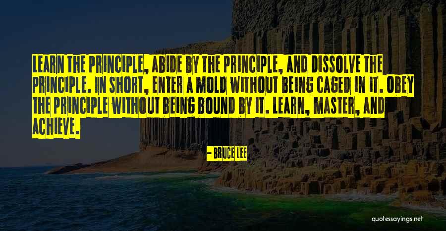 Dizzier Quotes By Bruce Lee Dizzier Quotes By Bruce Lee