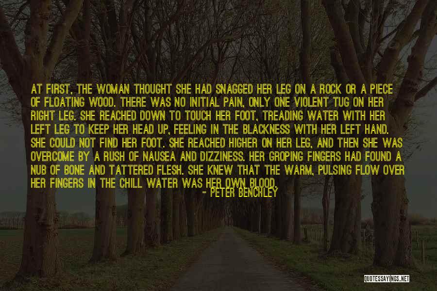 Dizziness Or Feeling Quotes By Peter Benchley Dizziness Or Feeling Quotes By Peter Benchley