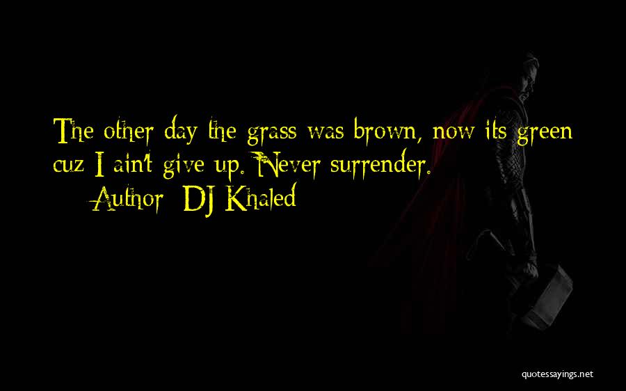 Dj Day Quotes By DJ Khaled