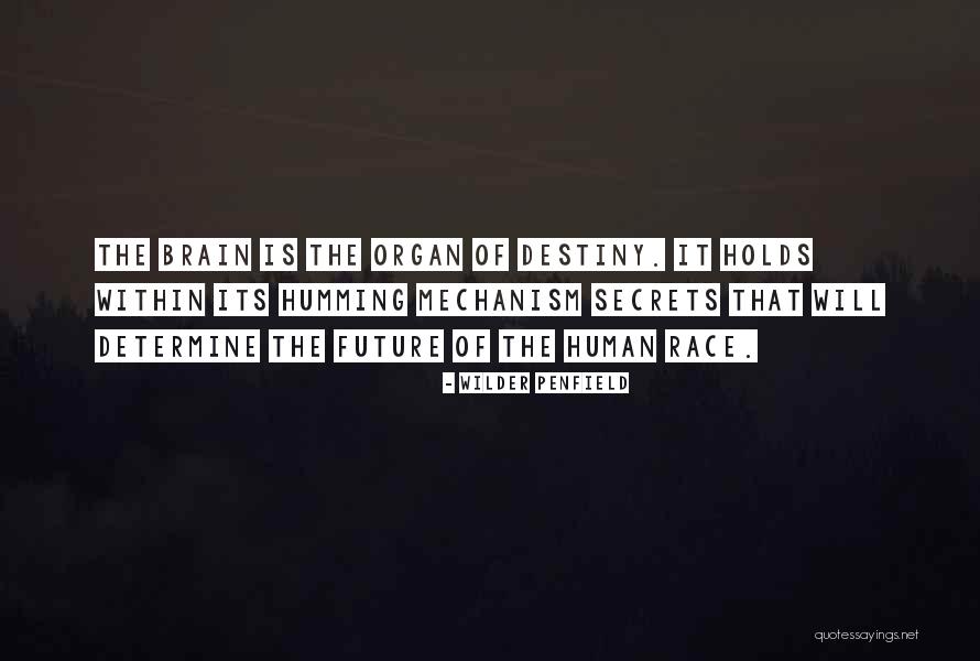 Dj Ibrahim Elik Quotes By Wilder Penfield Dj Ibrahim Elik Quotes By Wilder Penfield