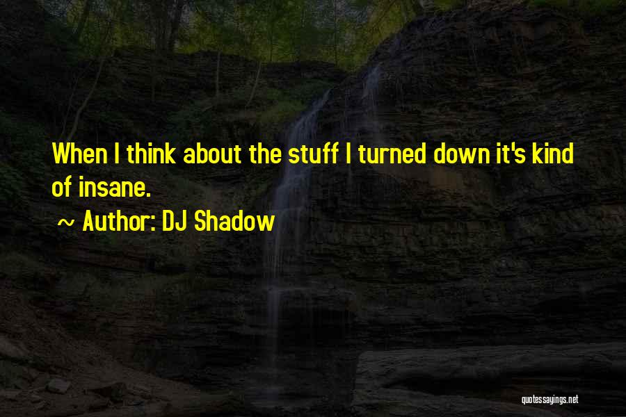 DJ Shadow Quotes 2165601