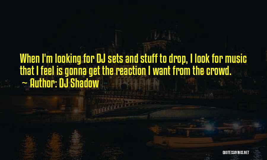 DJ Shadow Quotes 2218177