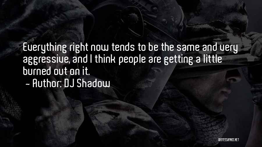 DJ Shadow Quotes 433650