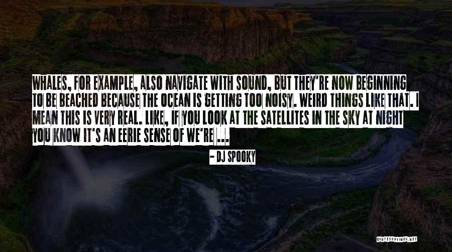 DJ Spooky Quotes 110305 DJ Spooky Quotes 110305
