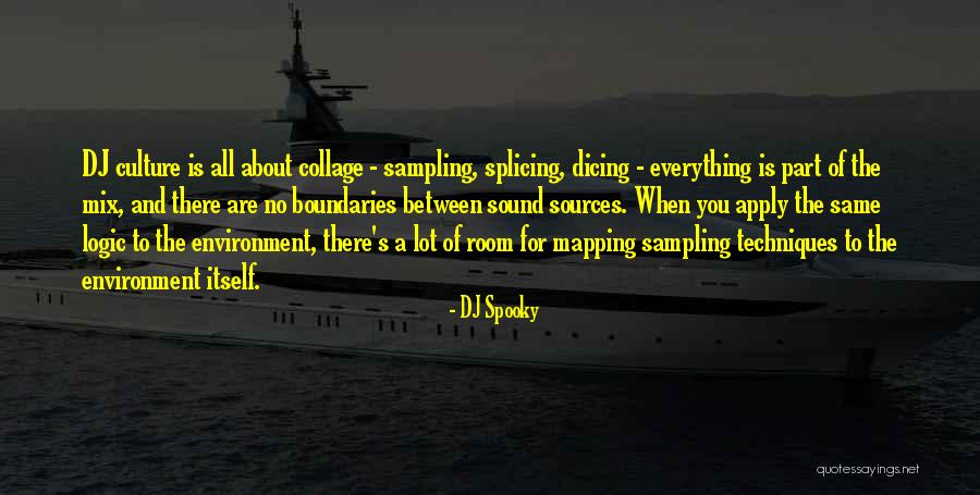 DJ Spooky Quotes 963490