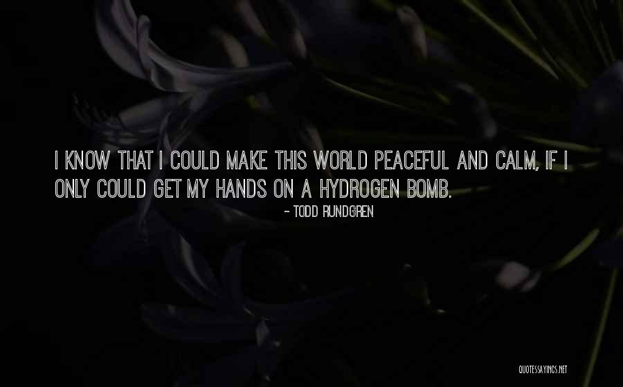 Djacke Quotes By Todd Rundgren Djacke Quotes By Todd Rundgren
