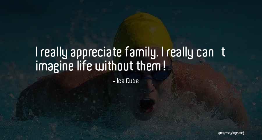 Djaffar Tefat Quotes By Ice Cube Djaffar Tefat Quotes By Ice Cube