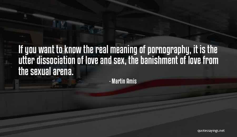 Djalana Quotes By Martin Amis Djalana Quotes By Martin Amis