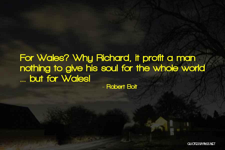 Djalil Bay Quotes By Robert Bolt Djalil Bay Quotes By Robert Bolt