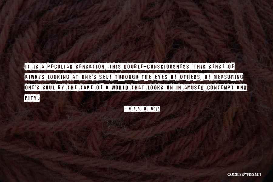 Djalli Ne Quotes By W.E.B. Du Bois Djalli Ne Quotes By W.E.B. Du Bois