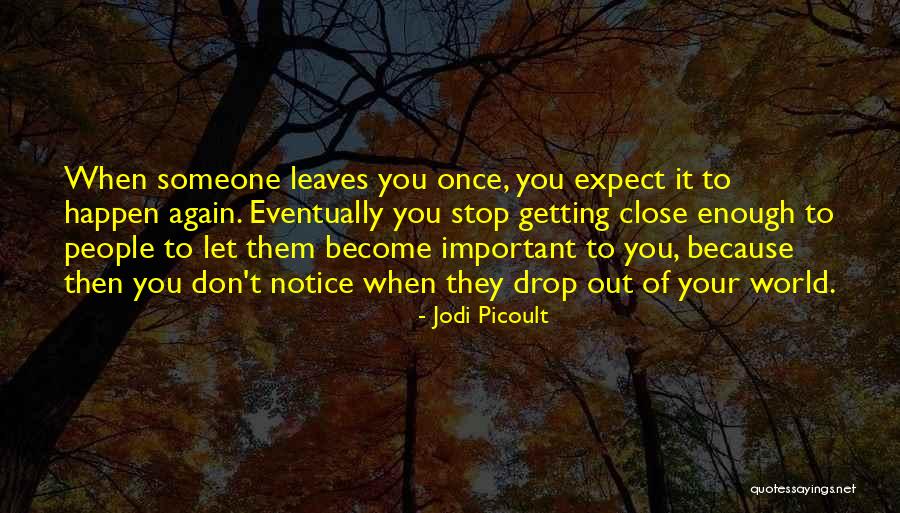 Djamel Benlamri Quotes By Jodi Picoult Djamel Benlamri Quotes By Jodi Picoult