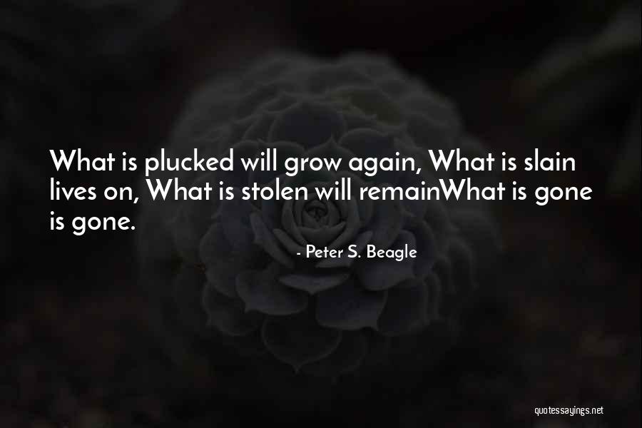 Djellaba Homme Quotes By Peter S. Beagle Djellaba Homme Quotes By Peter S. Beagle