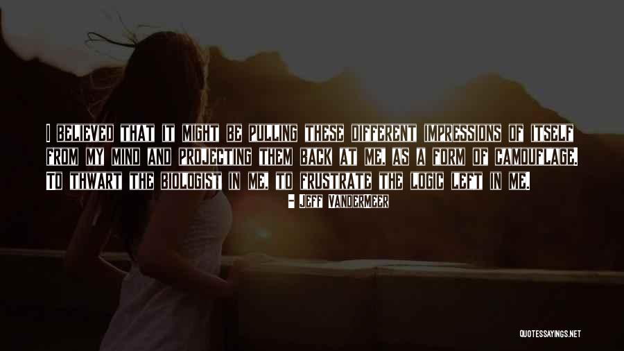 Djemeia Quotes By Jeff VanderMeer Djemeia Quotes By Jeff VanderMeer