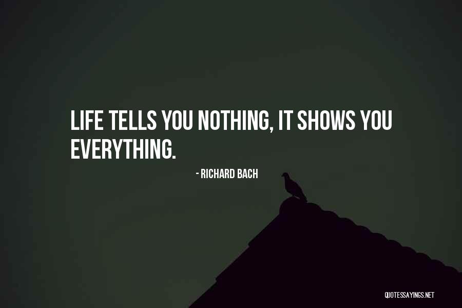Djenane Cameron Quotes By Richard Bach Djenane Cameron Quotes By Richard Bach