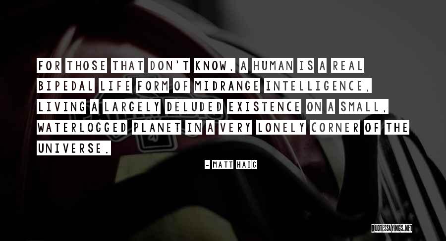 Djenane Machado Quotes By Matt Haig Djenane Machado Quotes By Matt Haig