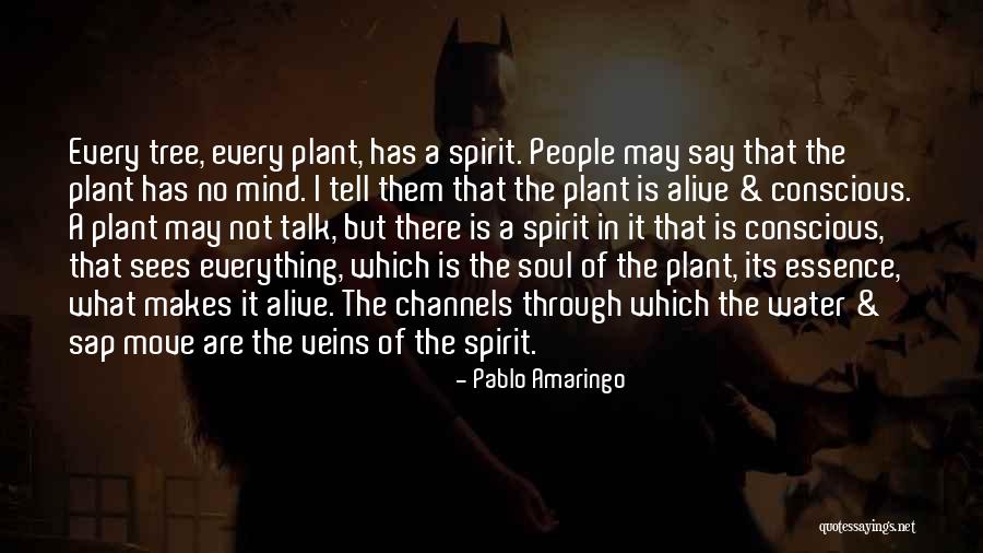Djibril Diop Quotes By Pablo Amaringo Djibril Diop Quotes By Pablo Amaringo