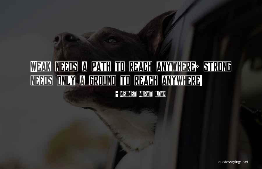 Djokernole Quotes By Mehmet Murat Ildan Djokernole Quotes By Mehmet Murat Ildan