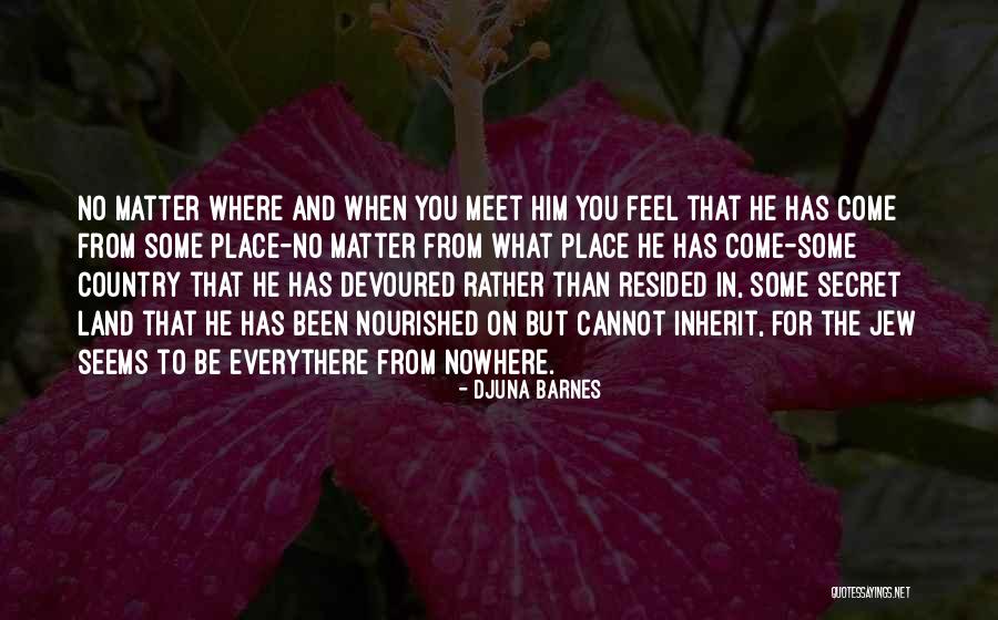 Djuna Barnes Quotes 569010