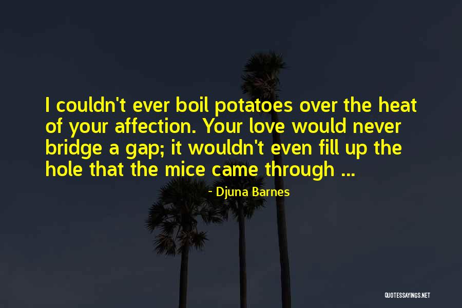 Djuna Barnes Quotes 90105