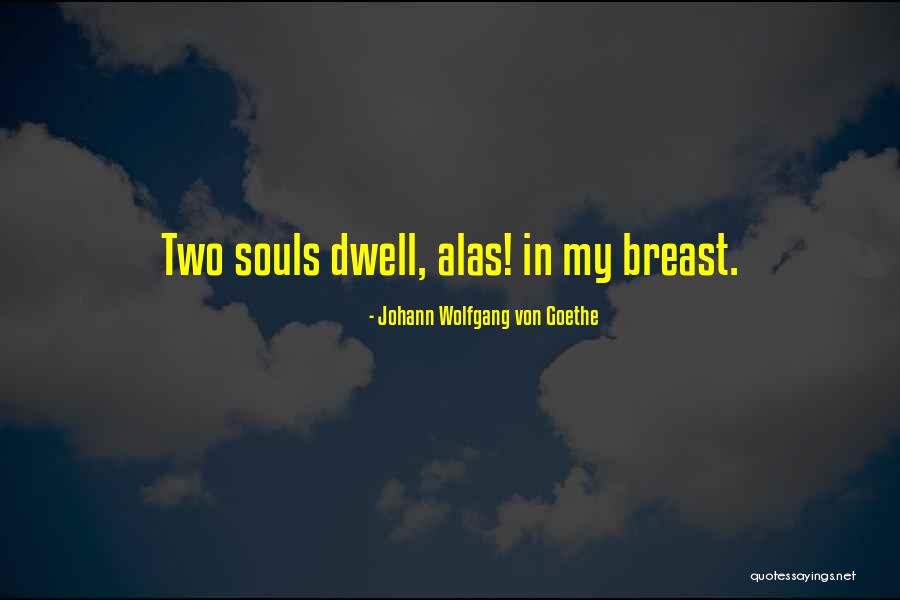 Djuricich Quotes By Johann Wolfgang Von Goethe Djuricich Quotes By Johann Wolfgang Von Goethe